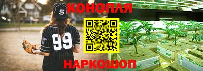 стаф Малгобек