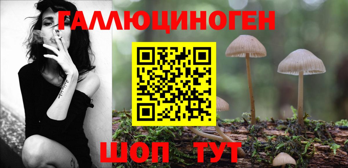 Псилоцибиновые грибы мухоморы Владивосток